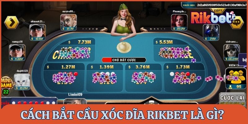 Cách bắt cầu xóc đĩa Rikbet