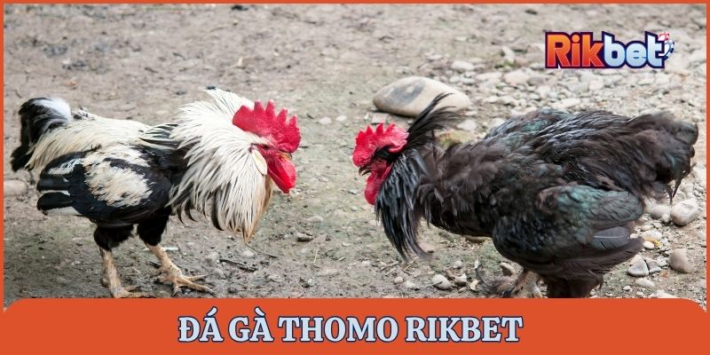 da-ga-thomo-rikbet