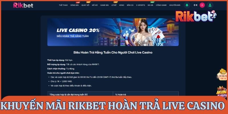 Nhận siêu hoàn trả hằng tuần cho người chơi Live Casino tại Rikbet