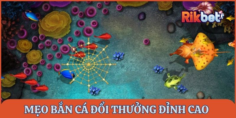 Mẹo bắn cá đổi thưởng hay nhất